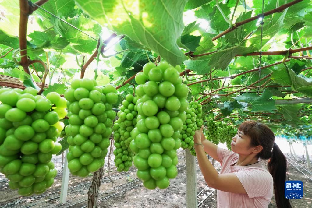 捕鱼达人3d电脑版激活码